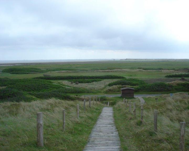 Strandläufer